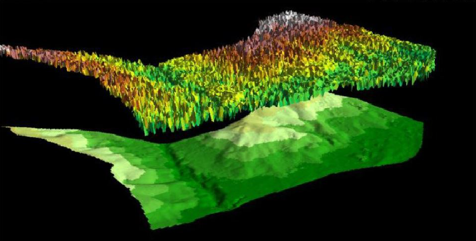 激光雷達森林調查，不可比擬的優勢