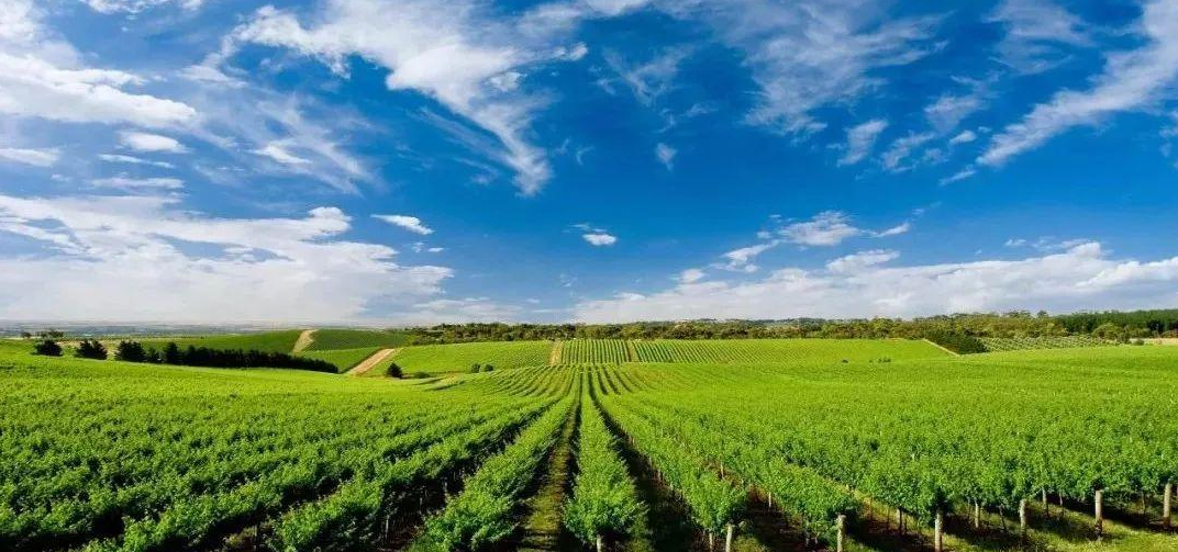 精準農業用多光譜還是高光譜遙感技術？